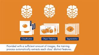 Deep Learning with MVTec HALCON