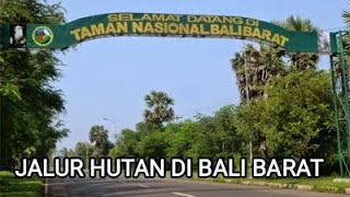 Jalur Hutan Di Bali || Taman Nasional Bali Barat