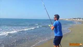 ORATA GROSSA PESCATA con la CANNA DA SURFCASTING DALLA SPIAGGIA | L'Orata "Ciavattona"