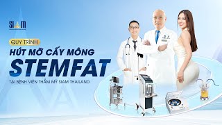 SIAM THAILAND | CÔNG NGHỆ HÚT MỠ CẤY MÔNG STEMFAT: HÀNH TRÌNH KIẾN TẠO VÓC DÁNG ĐỒNG HỒ CÁT