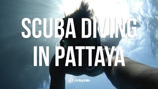 Scuba Diving In Pattaya