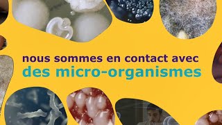 Microbiotiful - pour une production stérile et sûre