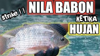 Mancing Ikan Nila Babon Di Saat Hujan