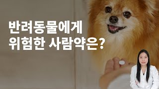 반려동물에게 위험한 사람약은?