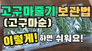 고구마줄기 1년 내내 먹는 방법, 고구마줄기보관법, 고구마순보관법, 고구마순삶는법,  고구마 줄기 삶는 법, How to store sweet potato stems