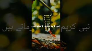 نبی کریم ﷺ فرماتے ہیں|||۔استغفار کی فضیلت۔|||||       #shorts #viralvideo #shortsfeed #foryou