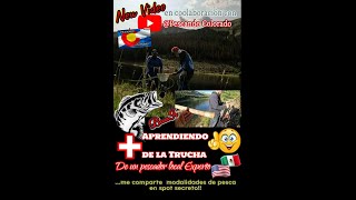 !!DRY FLY FISHING otra modalidad de pesca de TRUCHA!!! Con @cazaypescacolorado