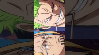 ¿Zoro y Rayleigh? SON IGUALES #drluigi97 #anime #onepiece #zoro