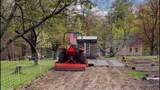 Two Pigs Made Us An INCREDIBLE New Garden In Two Weeks!