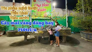 Chợ Hoa Xuân Nhâm Dần 2022 Tại Công Viên Văn Hoá Thanh Lễ Tỉnh Bình Dương/ Chậu Mai Giá 750triệu