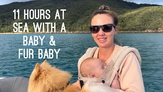 Episode 14: 11 hour sail to Scawfell Island with a baby and fur baby