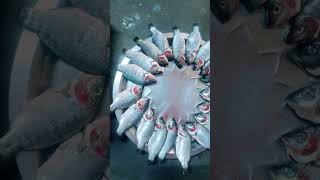 Removing Eyes from fish, #shorts #short #shortvideo #youtubeshorts #youtube #shortsvideo #youtube