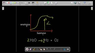 Endotermicas y Exotermicas (VIDEO 3)