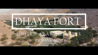 MAVIC MINI | DHAYA FORT | SHORT CLIP