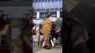 കണ്ണനെ ശിരസ്സിലേറ്റി സുന്ദരൻ🐘പാമ്പാടി സുന്ദരൻ തിരുവമ്പാടി കണ്ണന്റെ ശീവേലി എടുത്തപ്പോൾ | HARISH G