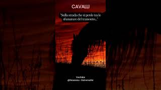 Sulla strada che si perde tra le sfumature del tramonto #animali #cavalli #aforismi #frasedelgiorno