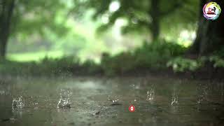 Raindrops in Super Slow Motion