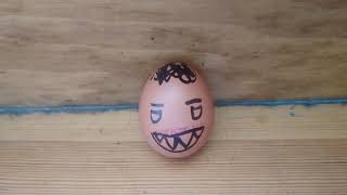 The egg 2!/Jajko 2!