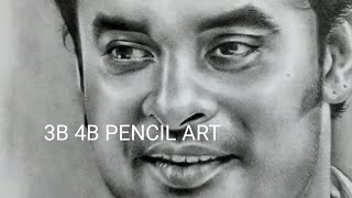 3B 4B PENCIL ART