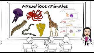 Características generales de los arquetipos animales