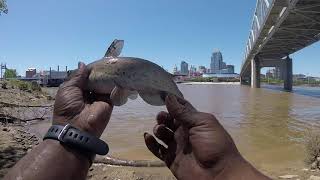 Fishing on the Banks of Kentucky