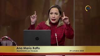 Ana María Raffo | Intervención Pleno nro. 976 | 29 de octubre de 2024 | #ReformaLOES.