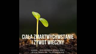 Ciała zmartwychwstanie i żywot wieczny - XXXII Niedziela zwykła (C)