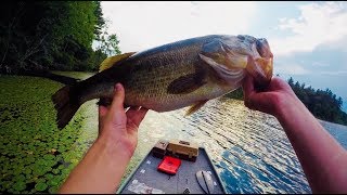 5+ Pound Bass Eats 40 Year Old Kool Aid Worm!!!