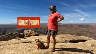 Dispersed Camping at Muley Point in Southern Utah! Grand Canyon views; no crowds! ​⁠@CallaVentures