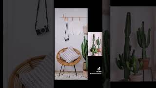 Decora cada espacio de tu casa con suculentas y cactus, se verá increíble #teinvitouncafe