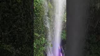 Beauty of Nature| WaterFalls #shorts #viral #trending #asmr #satisfying #nature