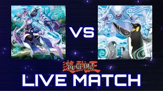 Floowandereeze Vs Swordsoul Live Yu-Gi-Oh! Match