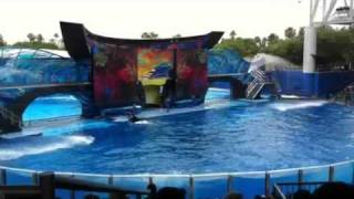 Shamu Show Sea World