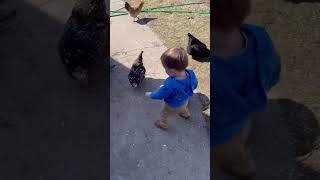 Almost Two Years Old But Little Koda Man LOVES Getting Out To Feed His Pals! #homesteading #farmer