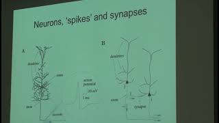 Giancarlo La Camera - Selected Problems in Learning and Decision Making, Part I