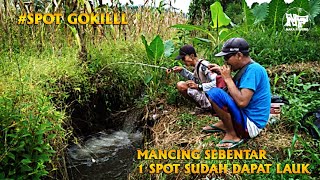 ISTIMEWA || Mancing Sebentar...Hasilnya Diluar Dugaan #microfishing #mancingwader #mancingnila