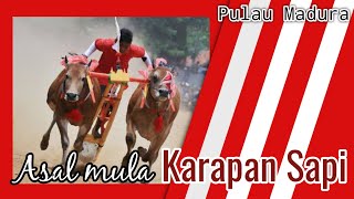 Inilah asal mula Karapan Sapi||Dari jaman Kerajaan hingga sekang|| Madura