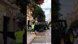 Orange harvest in the streets!