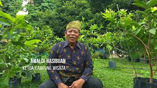 Pengembang Potensi Kelurahan Agrowisata
Menuju Destinasi Unggulan Pekanbaru