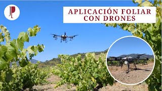 Aplicación foliar con drones