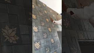 elevation tiles fitting work #shorts #construction #youtubeshorts #foryou #tiles