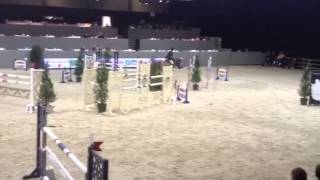 Gemmeric vd Wellington CSI** Gent 2014