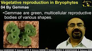 Vegetative reproduction in Bryophytes with Gujarati narration.