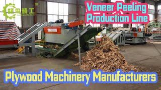 Veneer Peeling Production Line｜Machines and Workflows Included in a veneer peeling Line