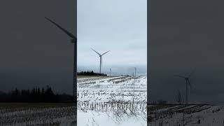 PEI Winter Windmills #PEI #windmill #windmills #windmillfarm #winter