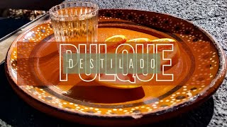 Destilado de Pulque, desde el corazón del maguey