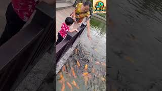 BABY With Koi fish #koifish @KRISHVN