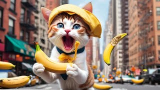 CATS FUN LIFE #cat #cute #kitten #ai #viral