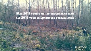 I-Line wenst u een zwijnig 2017