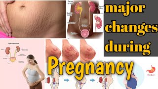 pregnancy changes|how a mother's body changes during pregnancy|medical knowledge pk